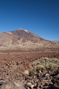 Teide Tenerife Kanarya volkan manzaralar