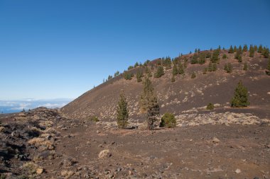 Teide Tenerife Kanarya volkan manzaralar
