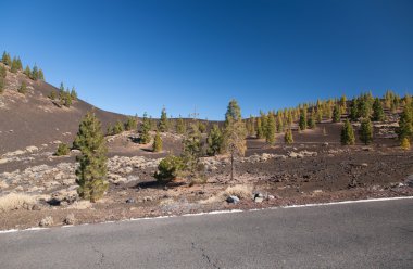 Teide Tenerife Kanarya volkan manzaralar