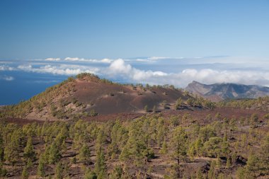 Teide Tenerife Kanarya volkan manzaralar
