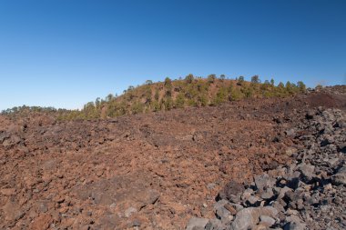 Teide Tenerife Kanarya volkan manzaralar
