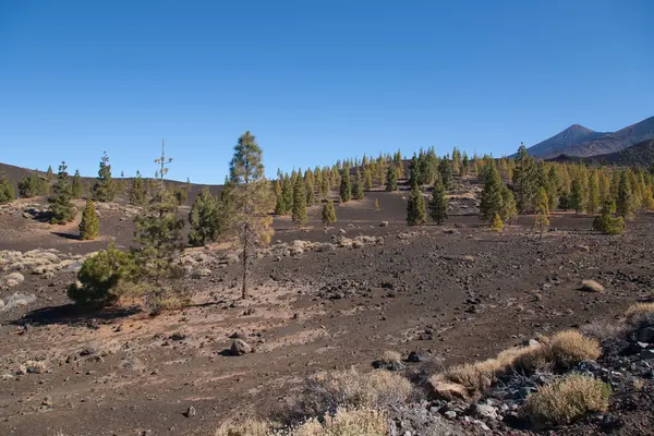 Teide Tenerife Canarische vulkaan landschappen — Stockfoto