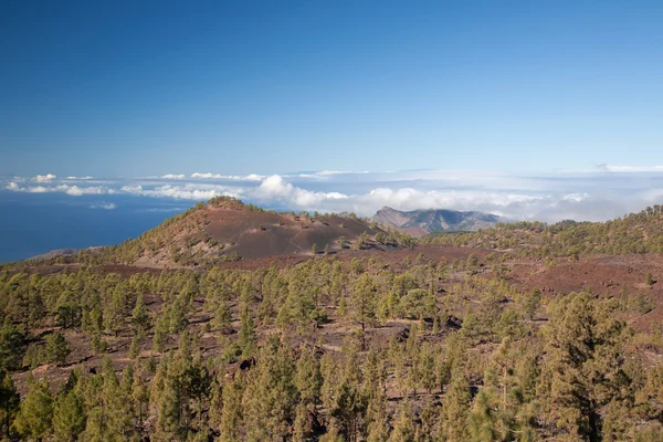 Τοπία των Καναρίων Νήσων ηφαίστειο του Teide Τενερίφη — Φωτογραφία Αρχείου