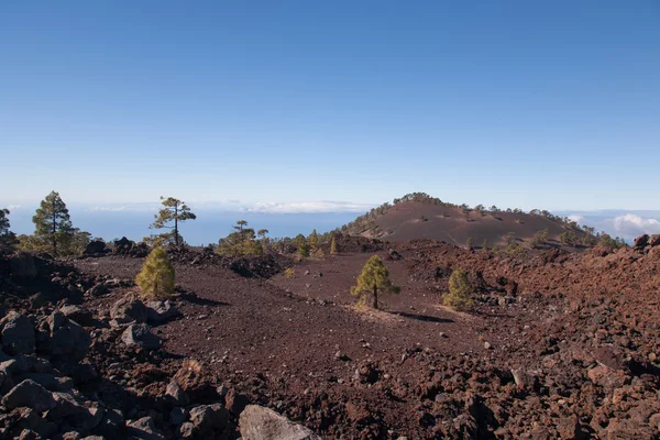 Teide Tenerife paesaggi vulcanici delle Canarie — Foto Stock