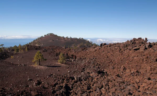 Teide Tenerife paesaggi vulcanici delle Canarie — Foto Stock