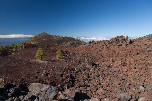 Teide Tenerife Canarische vulkaan landschappen — Stockfoto