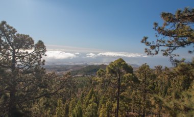 Tenerife Island sahil manzaraları