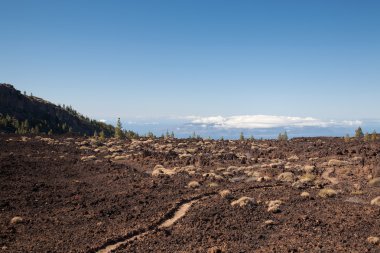 Tenerife Island sahil manzaraları