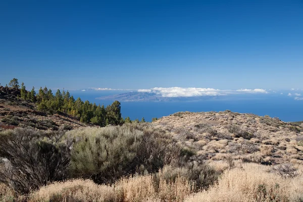 Τοπία ακτή νησί Τενερίφη — Φωτογραφία Αρχείου