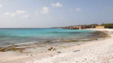 Caribbean beach Bonaire Adası