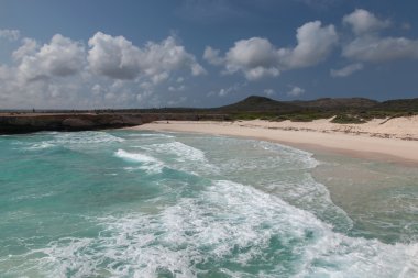 Caribbean beach Bonaire Adası