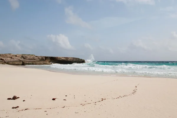 Karaibska plaża wyspy Bonaire — Zdjęcie stockowe