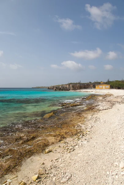 stock image caribbean beach Bonaire island