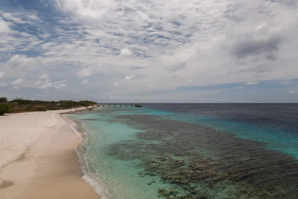 Karaibska plaża wyspy Bonaire — Zdjęcie stockowe