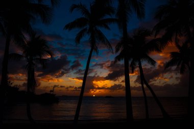Meksika 'da dramatik bir gün batımı. Siluetli palmiye ağaçları ufku çerçeveliyor. Turuncu ve kırmızı bulutlar sakin okyanus suyunu yansıtıyor.