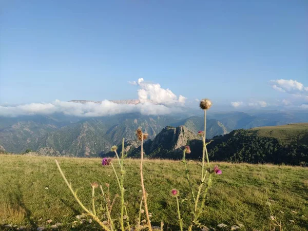 Summer Mountains Wide Summer Panorama North Caucasus Landscape Dombai Russia — Stock Photo, Image