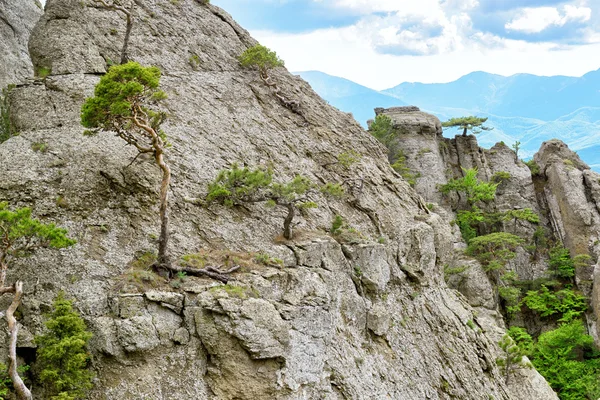 Гора Демерджи в Крыму — стоковое фото