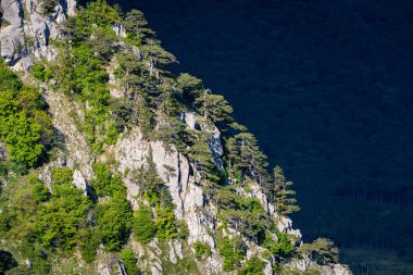 Mount Ai-Petri Kırım '