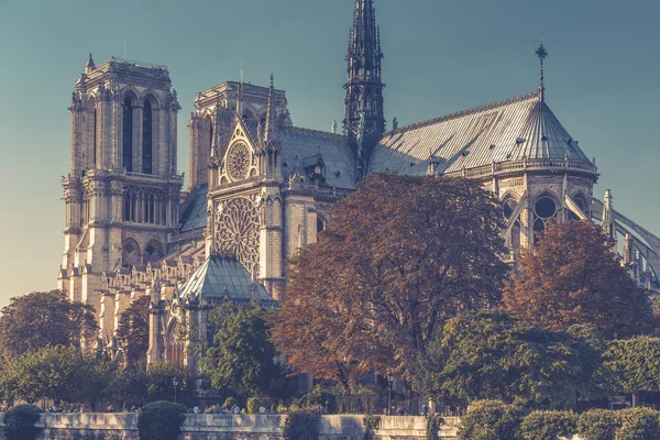 La catedral de notre dame de paris — Foto de Stock