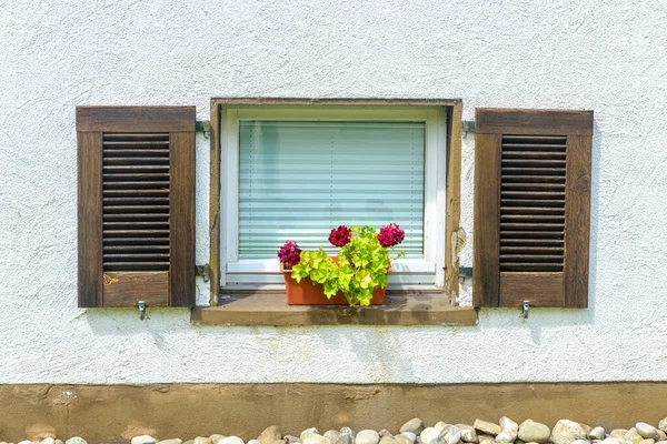 Okno Domácího Sklepa Pěknými Květinami Dřevěnými Okenicemi Bílá Omítnutá Vnější — Stock fotografie