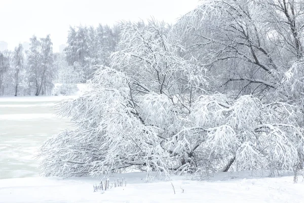 Sfondo Paesaggio Invernale Russia Vista Panoramica Del Fiume Moskva Nevoso — Foto Stock