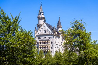Neuschwanstein Kalesi, Almanya, Avrupa. Münih civarındaki peri masalı kalesinin manzarası, Bavyera Alplerinin ünlü turistik cazibesi. Yazın Alman şehir simgesi, ağaçlar ve mavi gökyüzü manzarası.