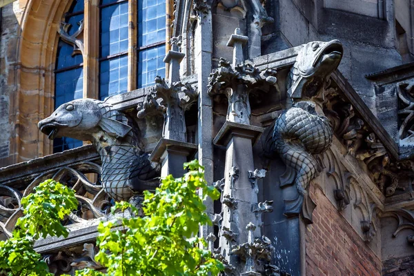 Gargoyles Ulm Minster Cathedral Ulm City Germany Detail Famous Gothic — Stock Photo, Image