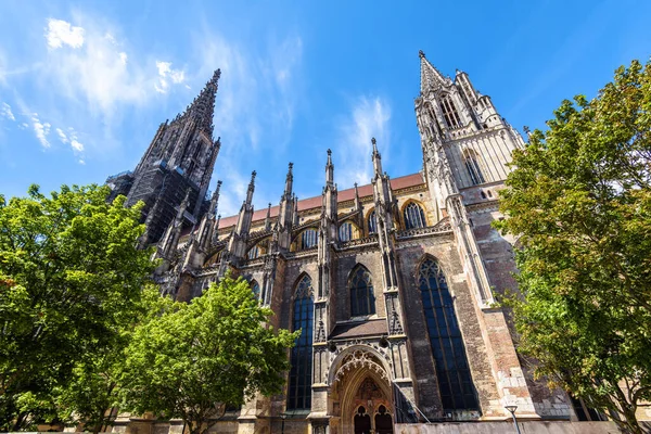 Ulm Minster Cathedral Ulm City Panorama Ornate Gothic Church Exterior — Stock Photo, Image