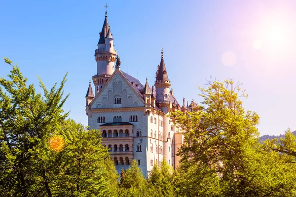 Neuschwanstein Slott Solljus Tyskland Europa Naturskön Solig Utsikt Över Sagoslott — Stockfoto