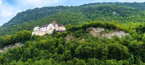 Landskap Berg Med Vaduz Slott Liechtenstein Europa Det Landmärke Schweiziska — Stockfoto