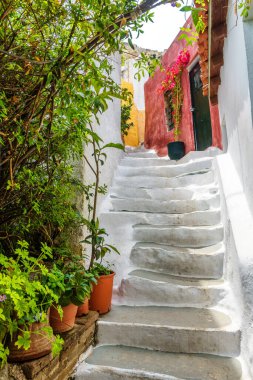 Plaka bölgesinde, Atina, Yunanistan 'da bir sokak. Plaka, Atina 'nın turistik ilgi odağı. Atina 'nın Anafiotika kentindeki Akropolis yakınlarındaki dar merdivenlerin dikey görüntüsü. Eski evlerin arasında çiçekli sıcak merdivenler..