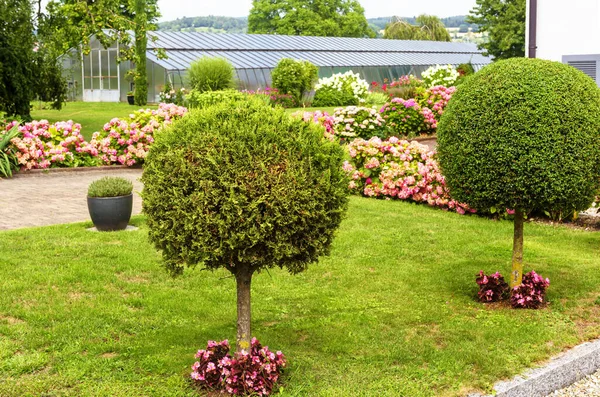 Landscape design with plants, flowers and topiary at residential house in Reichenau Island, Germany. Nice landscaping home garden near Constance Lake. Scenic view of beautiful landscaped backyard.