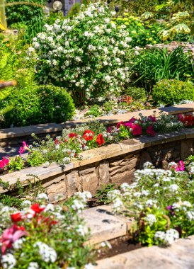 Güzel bir ev bahçesinin peyzaj tasarımı, duvarları olan peyzaj ve konut evinin arka bahçesinde çiçek tarlaları. Yazın güzel çevre düzenlemeleri, bahçedeki çiçek ve bitkiler.. 