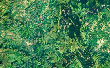 Uydu fotoğrafı ve topoğrafya üzerinde doğal desen. Yeşil Dünya yüzeyinin havadan görünüşü soyut doku arka planıdır. Yazın uzaydan alınan orman ya da orman. Bu görüntünün elementleri NASA tarafından desteklenmektedir.