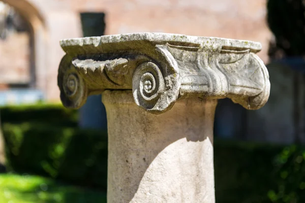Ancient Roman column in the ruins of the Baths of Diocletian in — Stock Photo, Image