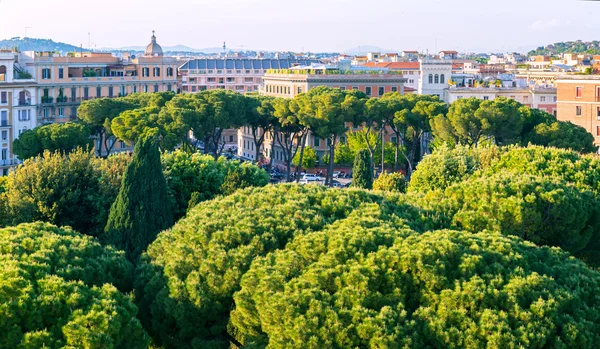 Veduta di Roma — Foto Stock