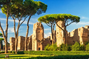 The ruins of the Baths of Caracalla in Rome, Italy clipart