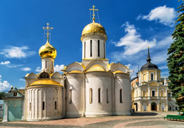Cattedrale della Trinità a Sergiyev Posad — Foto Stock
