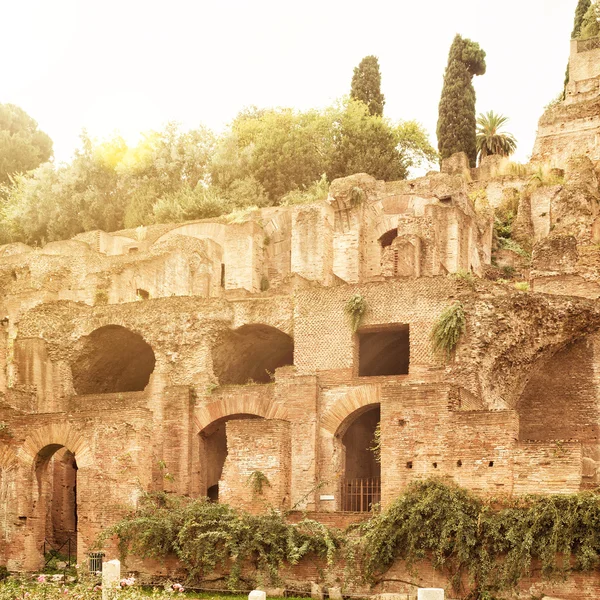 The ruins of the Roman Forum in Rome — Stock Photo, Image