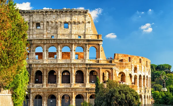 Coliseo de Roma (Coliseo) —  Fotos de Stock