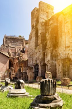 Roman Forum Roma kalıntıları