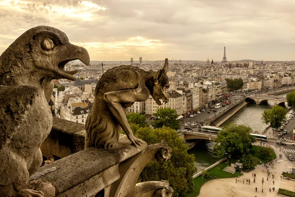 Chimera (gargoyle) on the Cathedral of Notre Dame de Paris — Stock Photo, Image