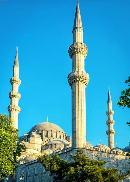 Süleymaniye Camii Istanbul, Türkiye'de minarelerinin
