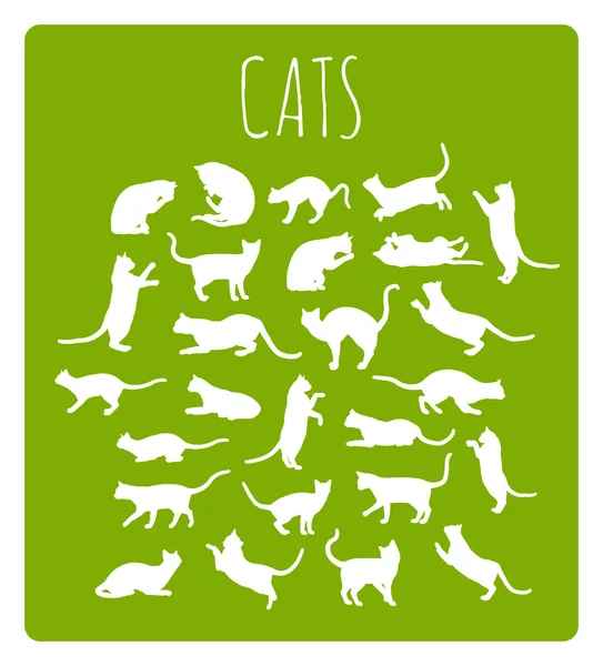 Kočky v různých pózách — Stockový vektor