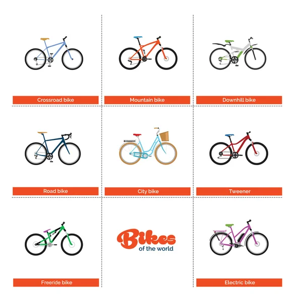 Bikes of the World — Stock Vector