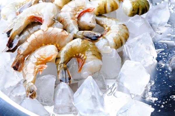 Fresh raw shrimps — Stock Photo, Image