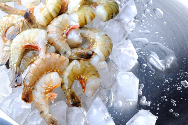 Čerstvé syrové krevety — Stock fotografie