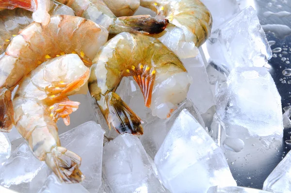 Fresh raw shrimps — Stock Photo, Image