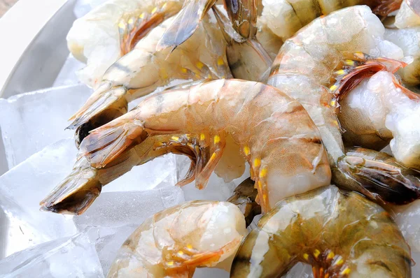 新鲜原料虾 — 图库照片
