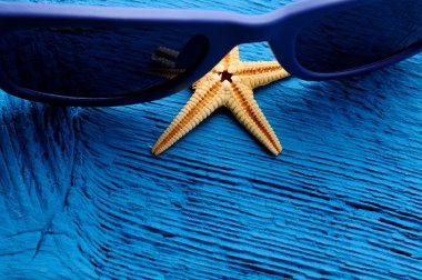 Sunglases ve deniz kabukları